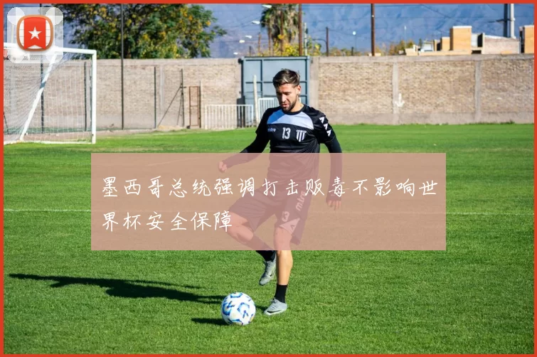 墨西哥总统强调打击贩毒不影响世界杯安全保障