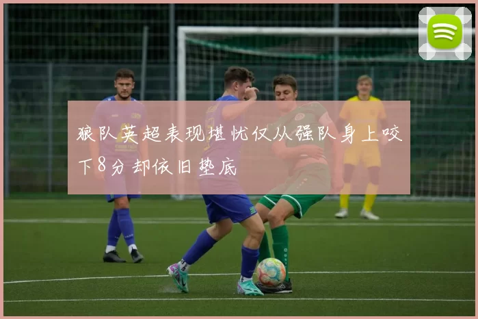 狼队英超表现堪忧仅从强队身上咬下8分却依旧垫底